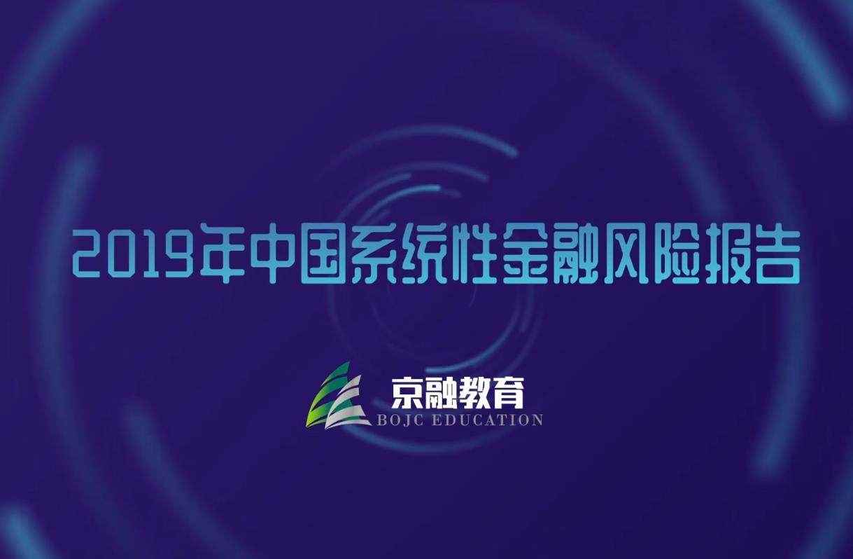 2019年中国系统性金融风险报告